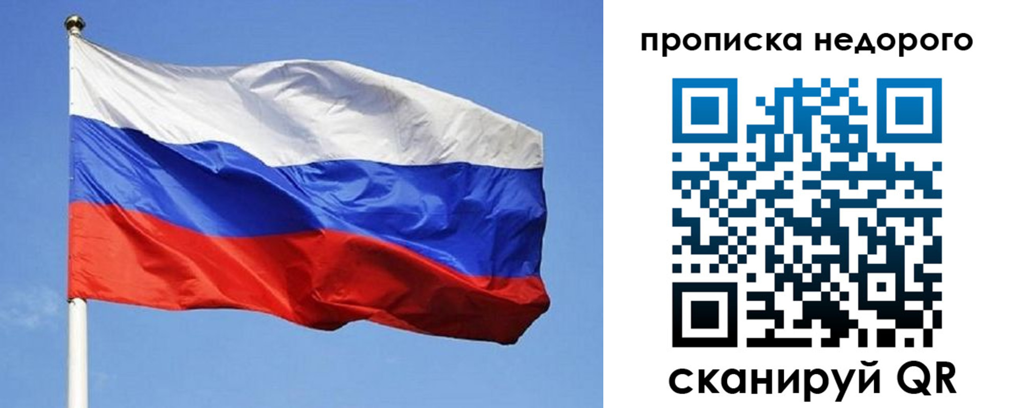 прописка для школы в Плавске